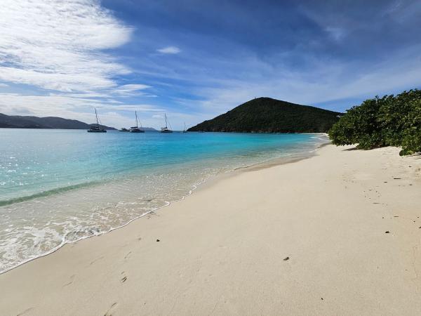 Beach and shoreline af Guana Island, British Virgin Islands yacht charter