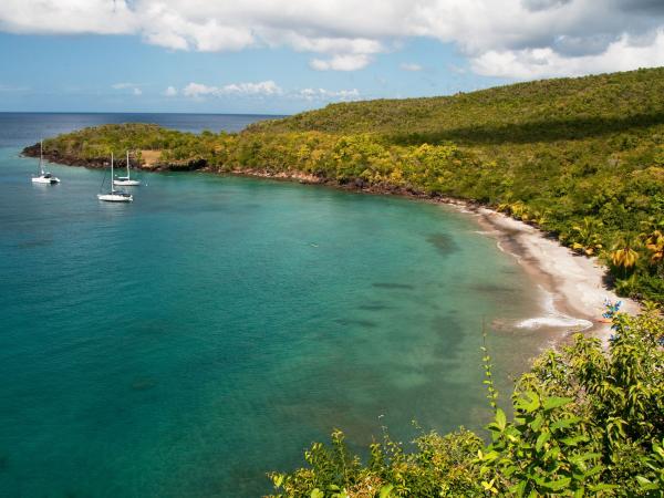 Yachts sailing in Anse Cochon, St Lucia