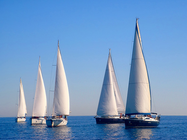 five yachts sail in the blue sea